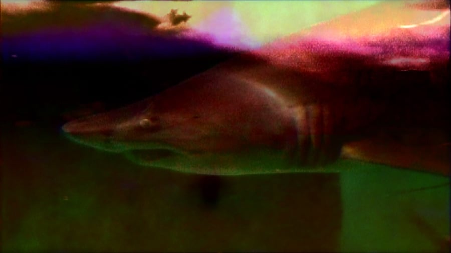 Dinos Chapman&#39;s Audio-Visual Show