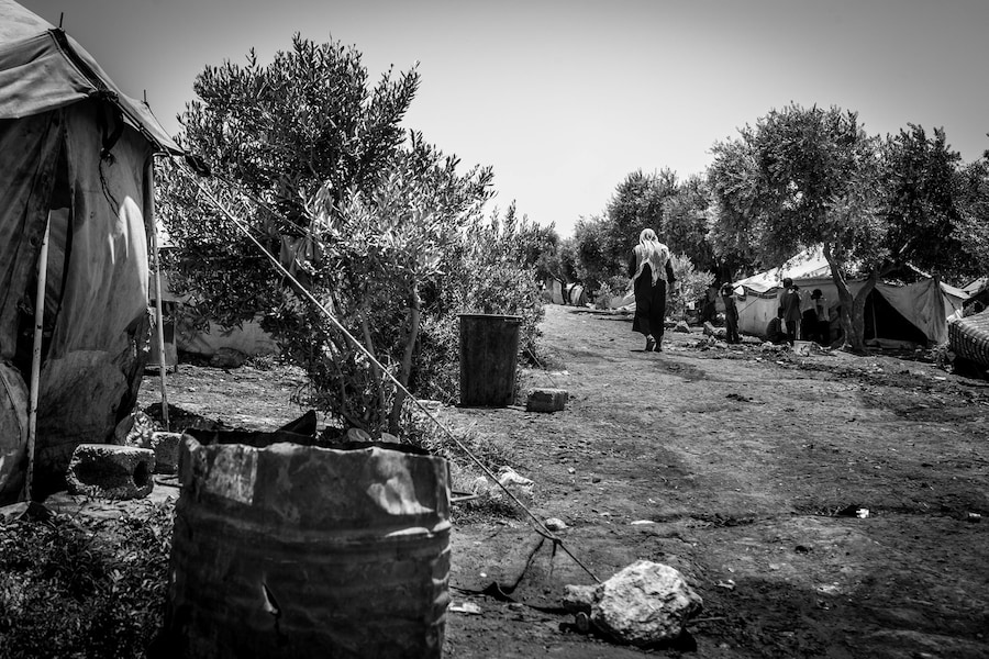 Vpalmier_Syriacamp-1 1
