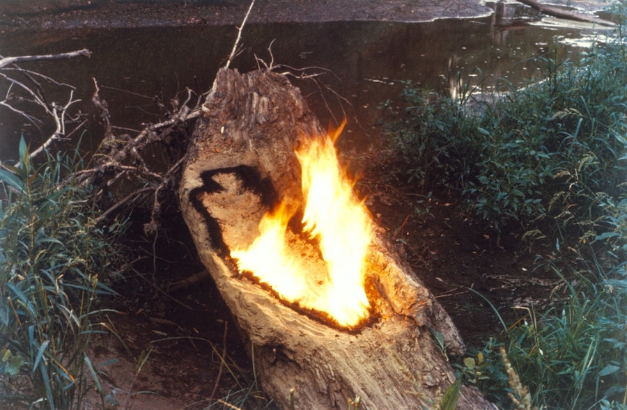 GL 4175-B2 - Arbol de la Vida log and gunpowder 2