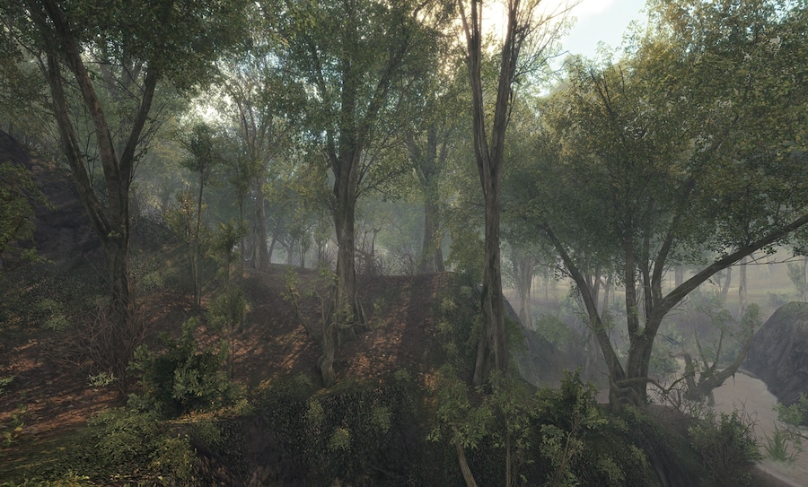 MarkTribe_BlackCreek 2