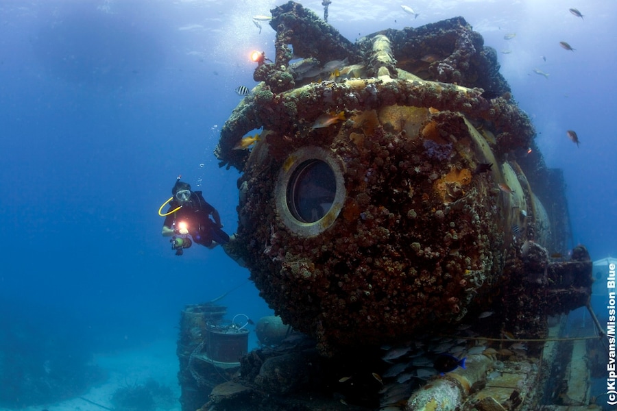 Fabien-Cousteau_photo credit_KipEvans_Mission Blue 7