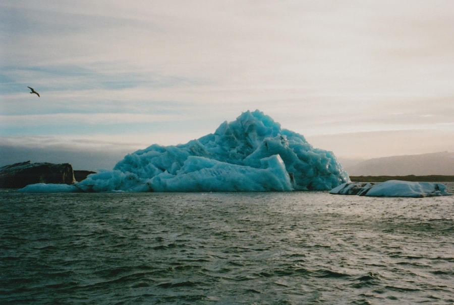 tumblr_mucxo5GvAi1qb5uxpo1_1280 12