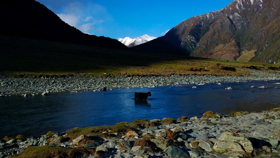 WP_20130306_17_41_47_Pro__highres 2