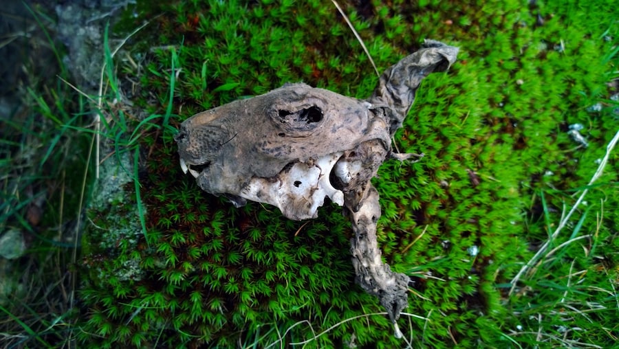 WP_20130306_18_33_05_Pro__highres 3