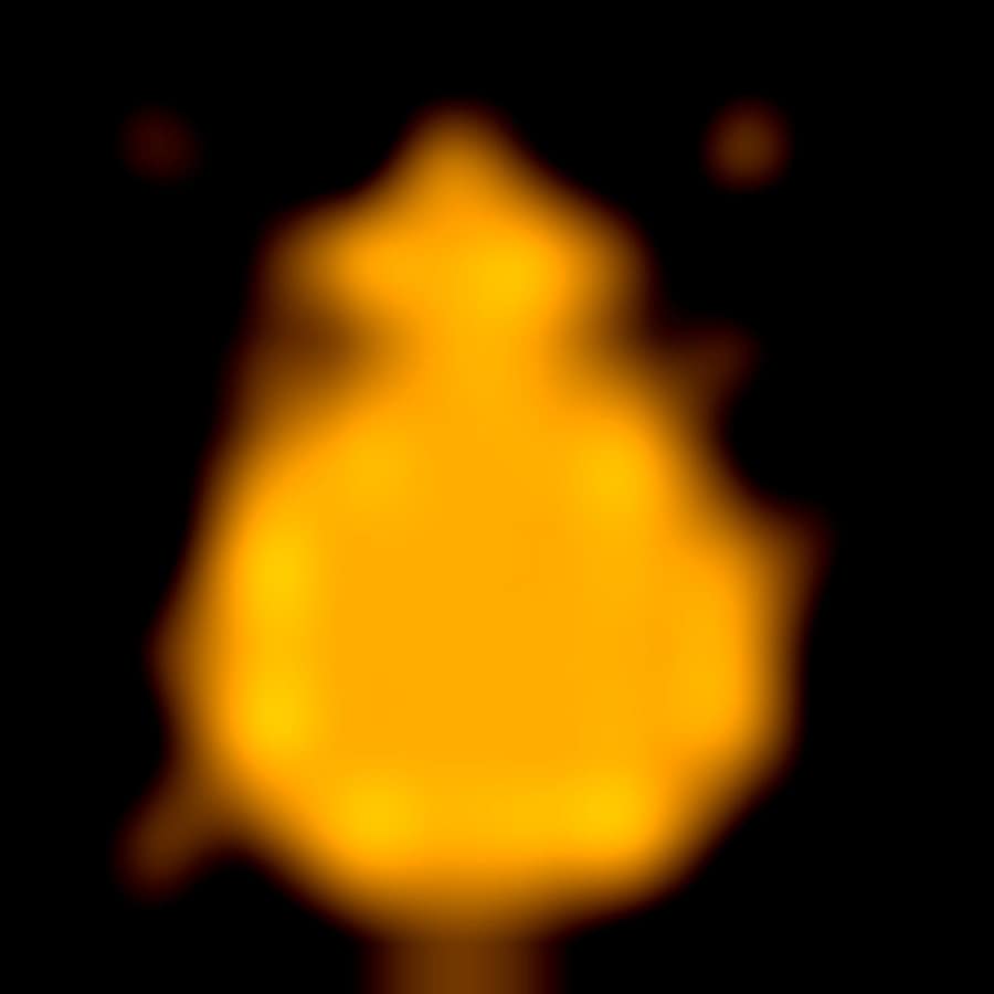 BED BUG PEST CONTROL 15