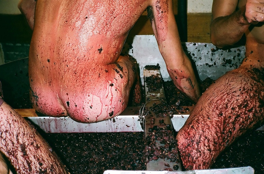 Le cul dans le raisin, Condrieux, 2012 0