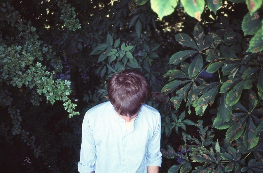 Rosaline Shahnavaz's Portfolio 14