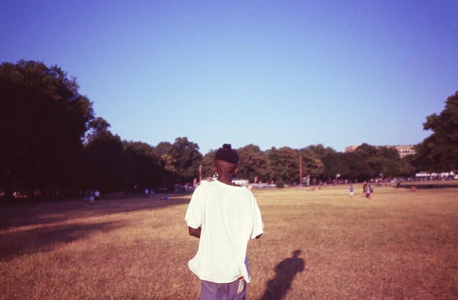 Rosaline Shahnavaz's Portfolio 15