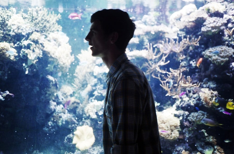 Rosaline Shahnavaz's Portfolio 0