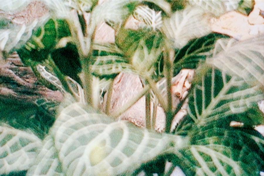 Earth People 23