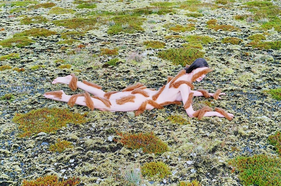Reverie Sleep 5