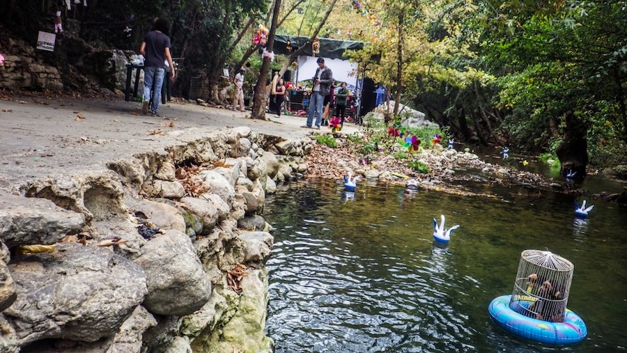 If you go down to the woods today 2