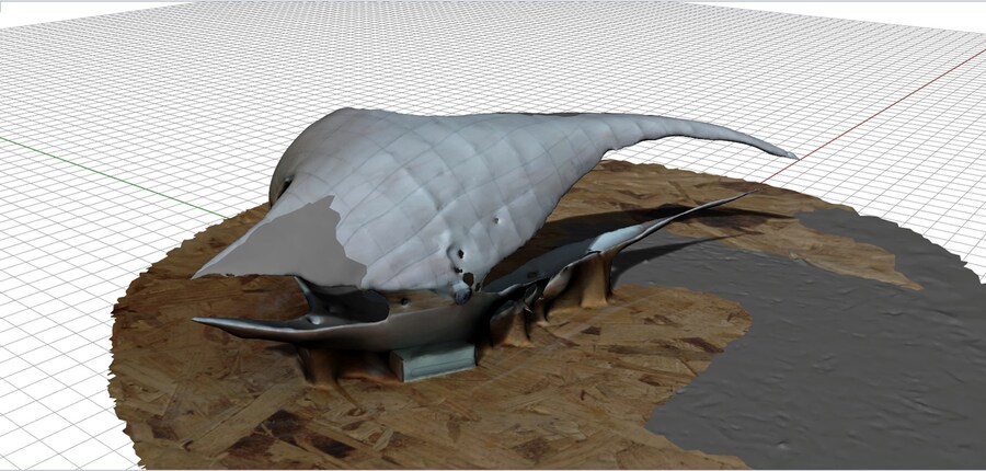 Ana Rajcevic&#39;s Autodesk Creation 9
