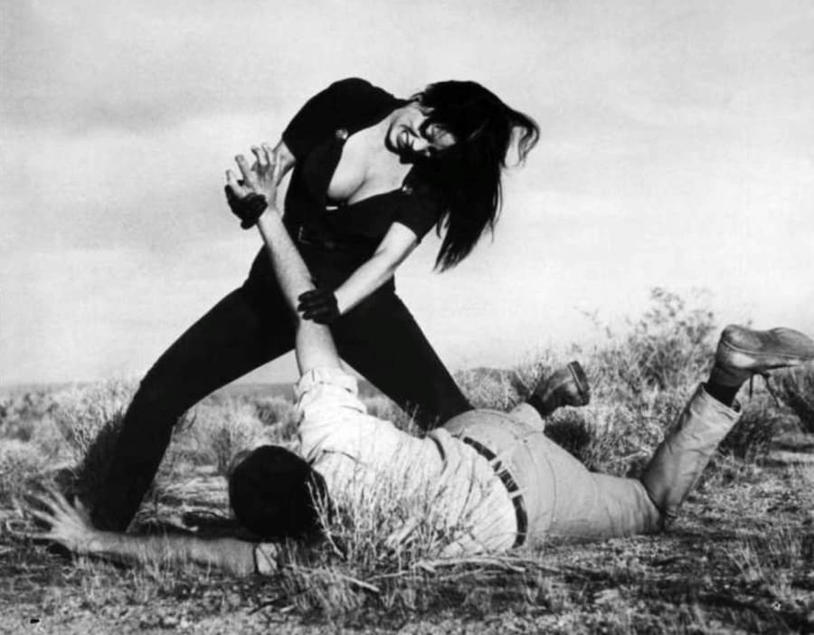faster pussycat kill kill