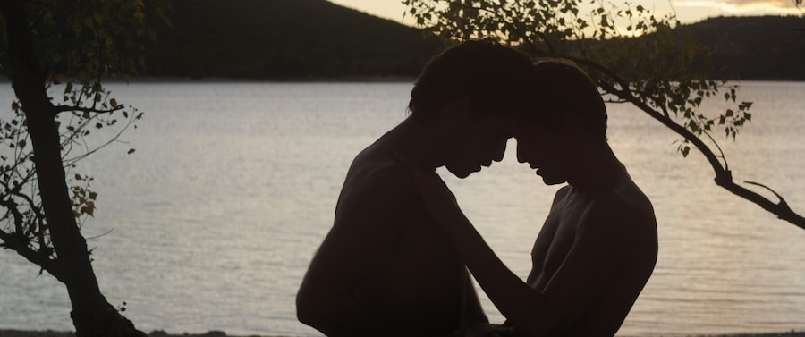 Stranger by the lake 12