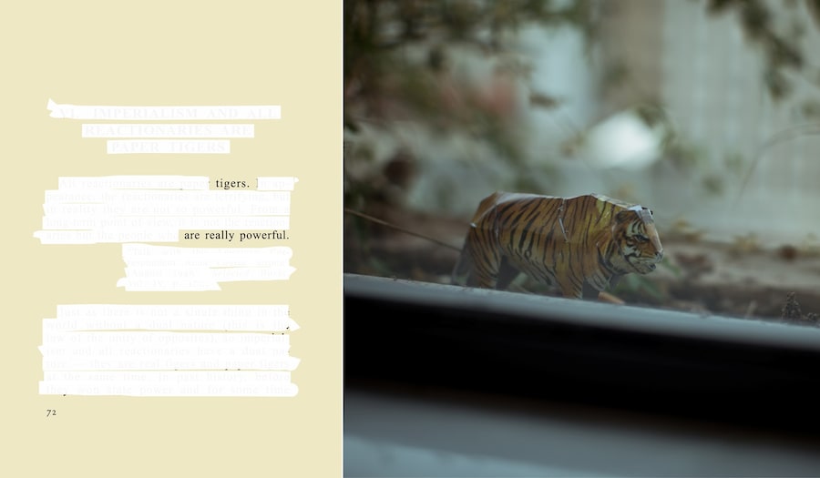 08-TIGERS ARE b 5