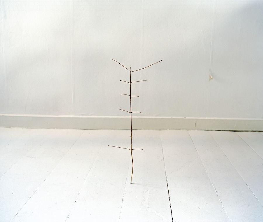 The White Room 3