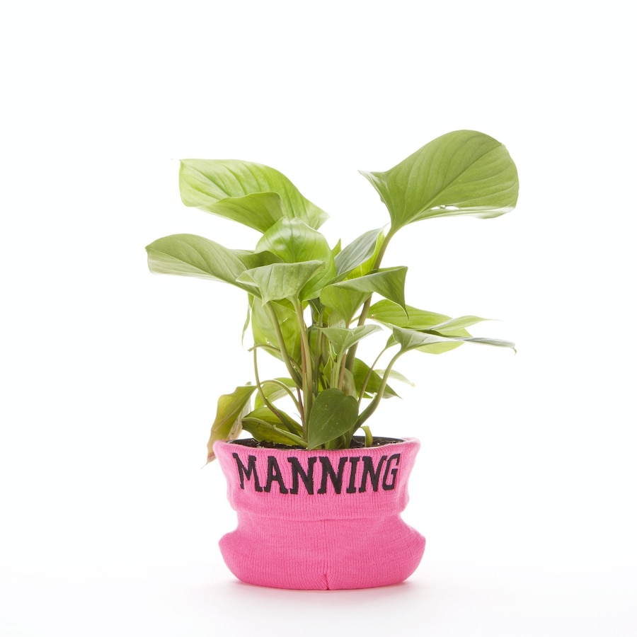 P-20140303-00500_News 0