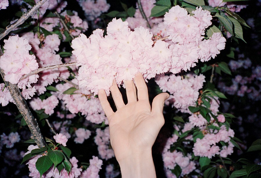 Young Blood, Old Shot 11