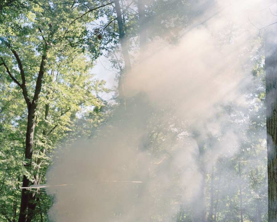 Young Blood, Old Shot 17