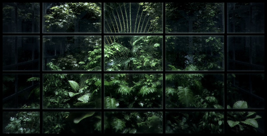 Melba's Call Up-Close 4