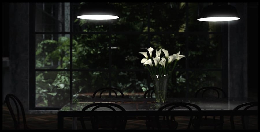 Melba's Call Up-Close 10