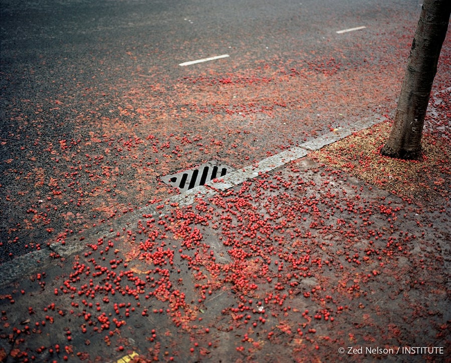 Hackney_02 1
