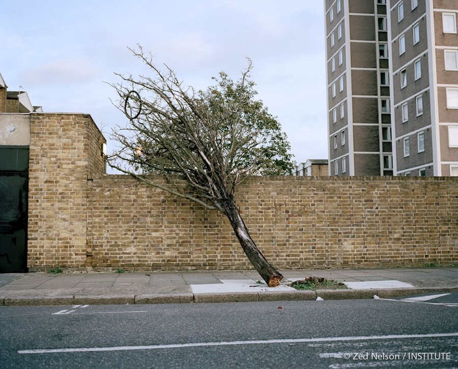 Hackney_04 3