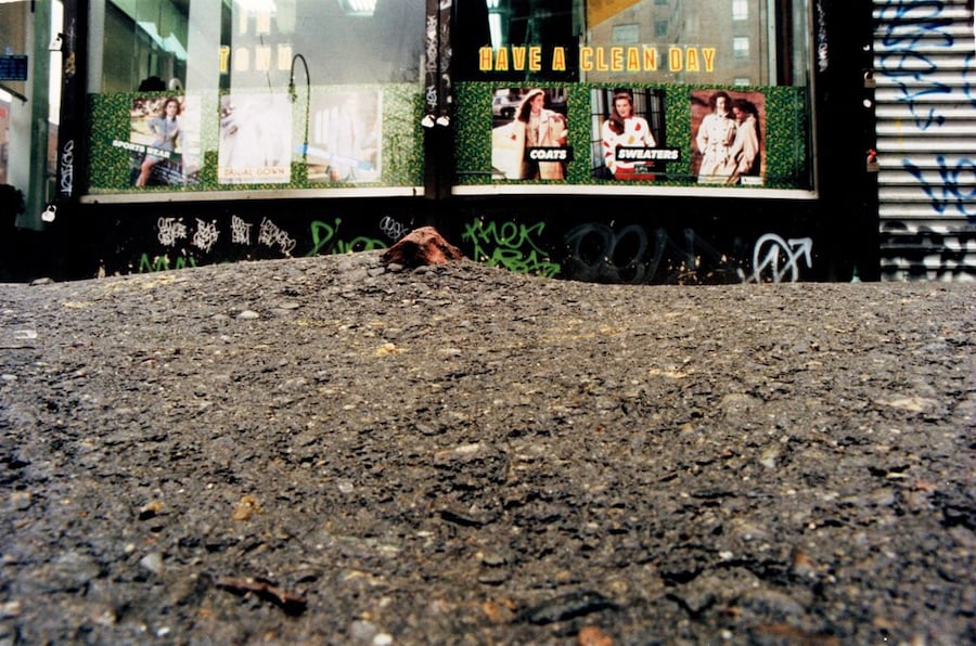 Bob Walden: Negligence Photography 24