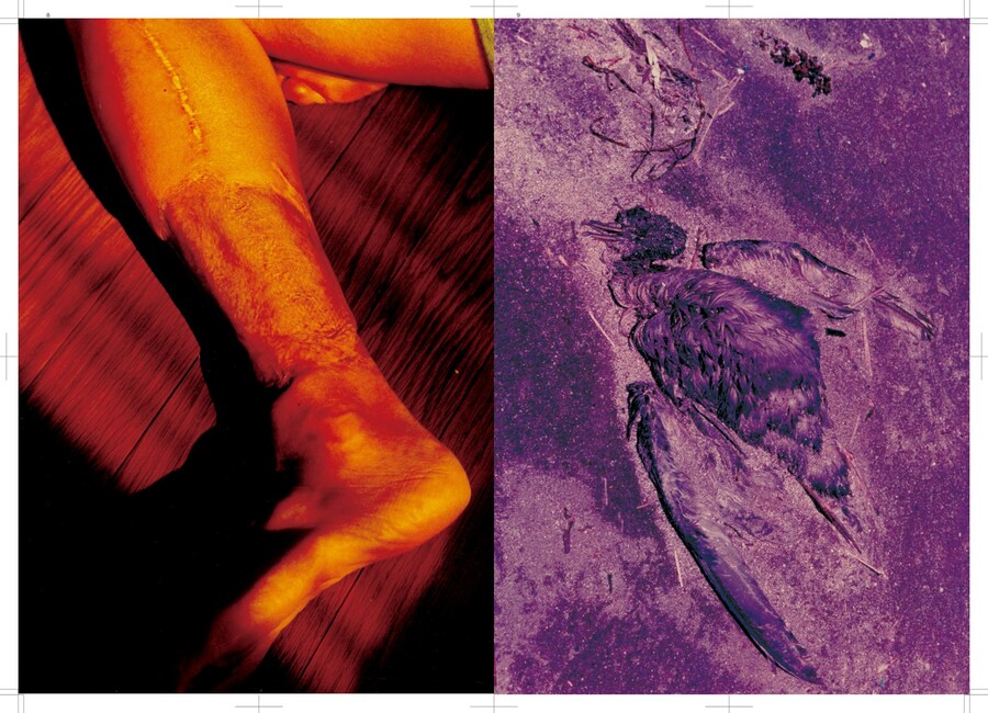 Momo_Okabe_Bible_Session05-5 1