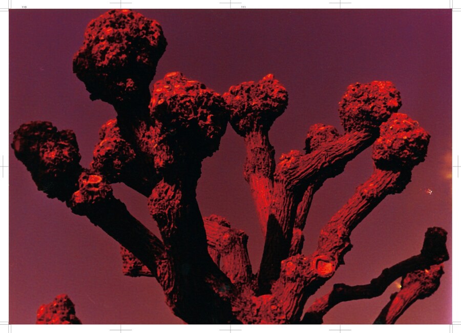 Momo_Okabe_Bible_Session05-56 8