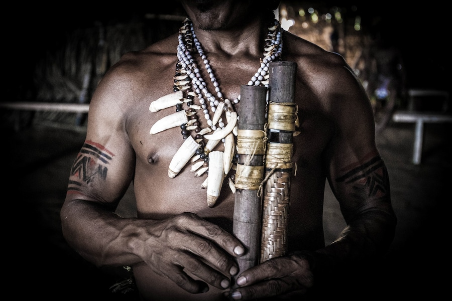 pedro bayeux tribe art 3 11
