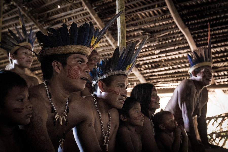 pedro bayeux tribe game 30 17