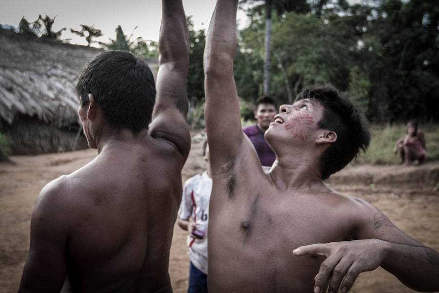 pedro bayeux tribe play - when it is a draw they d 21
