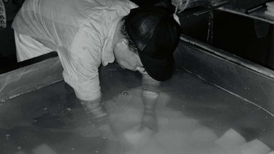 John Maeda