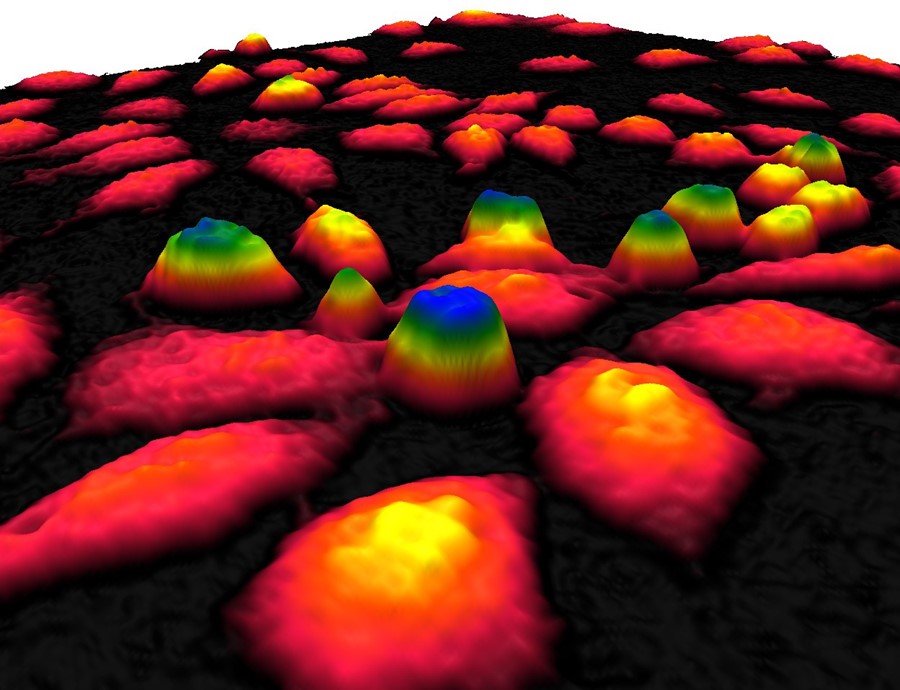 Phase_shift_image_of_cells_in_3D