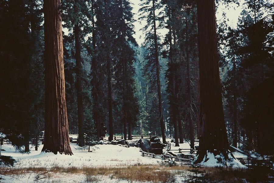 Capturing an American Road Trip 11