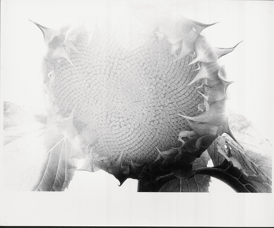DC62_B1_Cult VIP_6_web 5