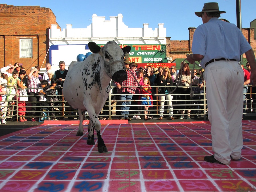 Casino&#39;s Beef Week Festival 3