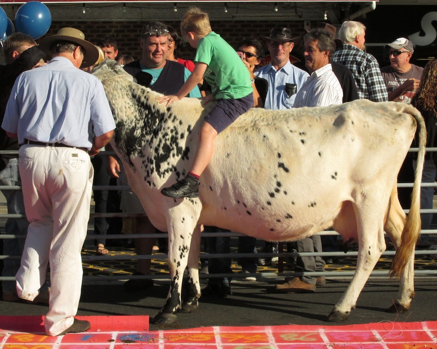 Casino&#39;s Beef Week Festival 0