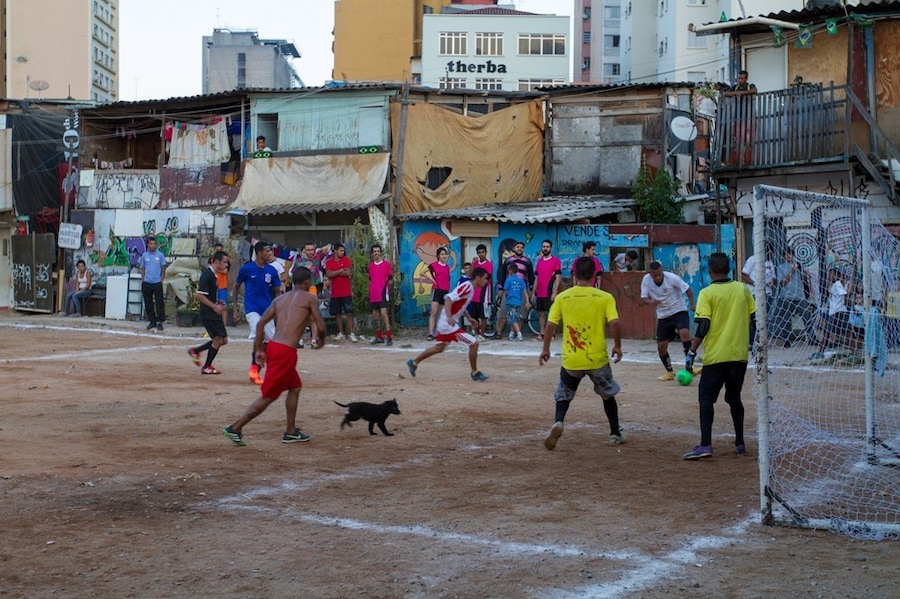 dog slum Pedro 15