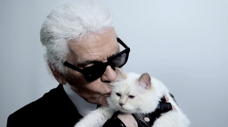 This week, Karl Lagerfeld's cat landed a modelling contract | Dazed