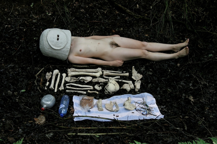 Bush Compulsion 11