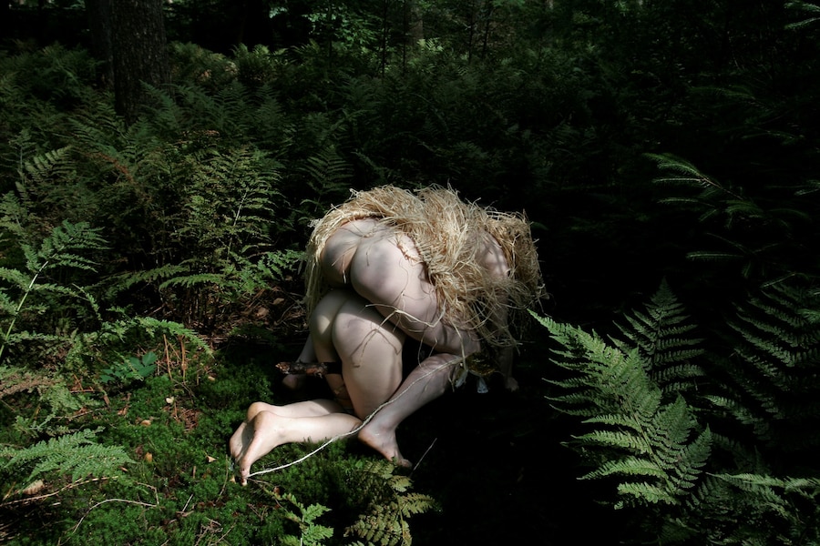 Bush Complusion 8