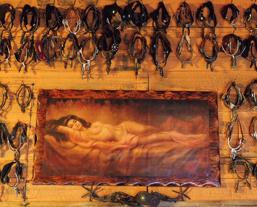 Jane Hilton&#39;s American archives Dazed States of Independence 17