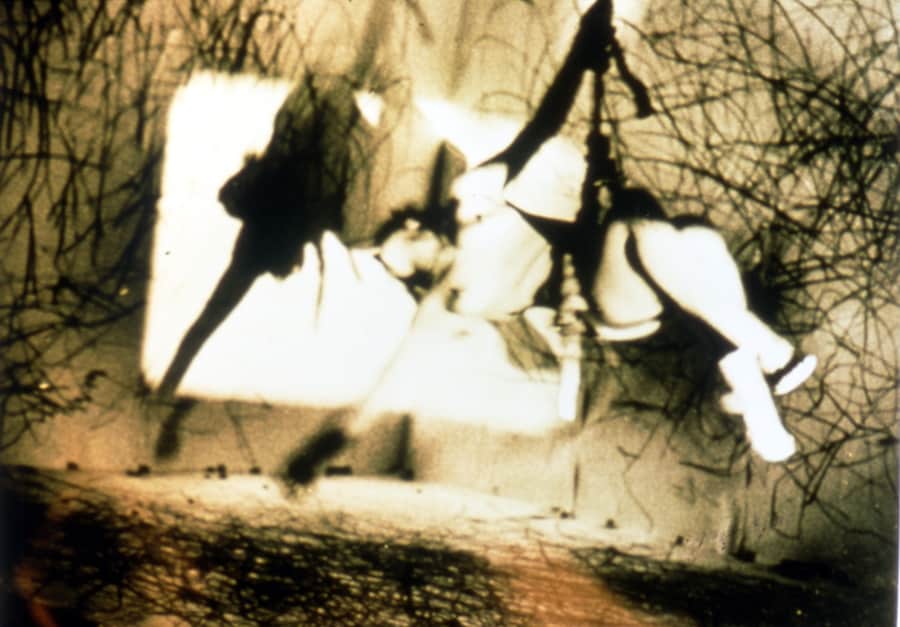 Carolee Schneemann, Up To And Including Her Limits 3