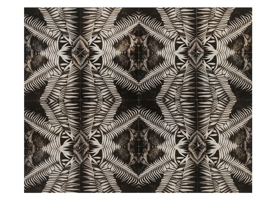 1._Patterns_from_Nature_Photographic_Collage_c._19 0