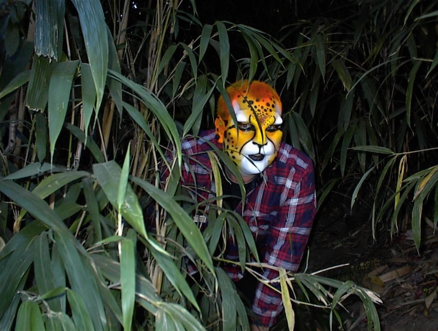 Lyonshel Cheetah by Mani Morphic 8