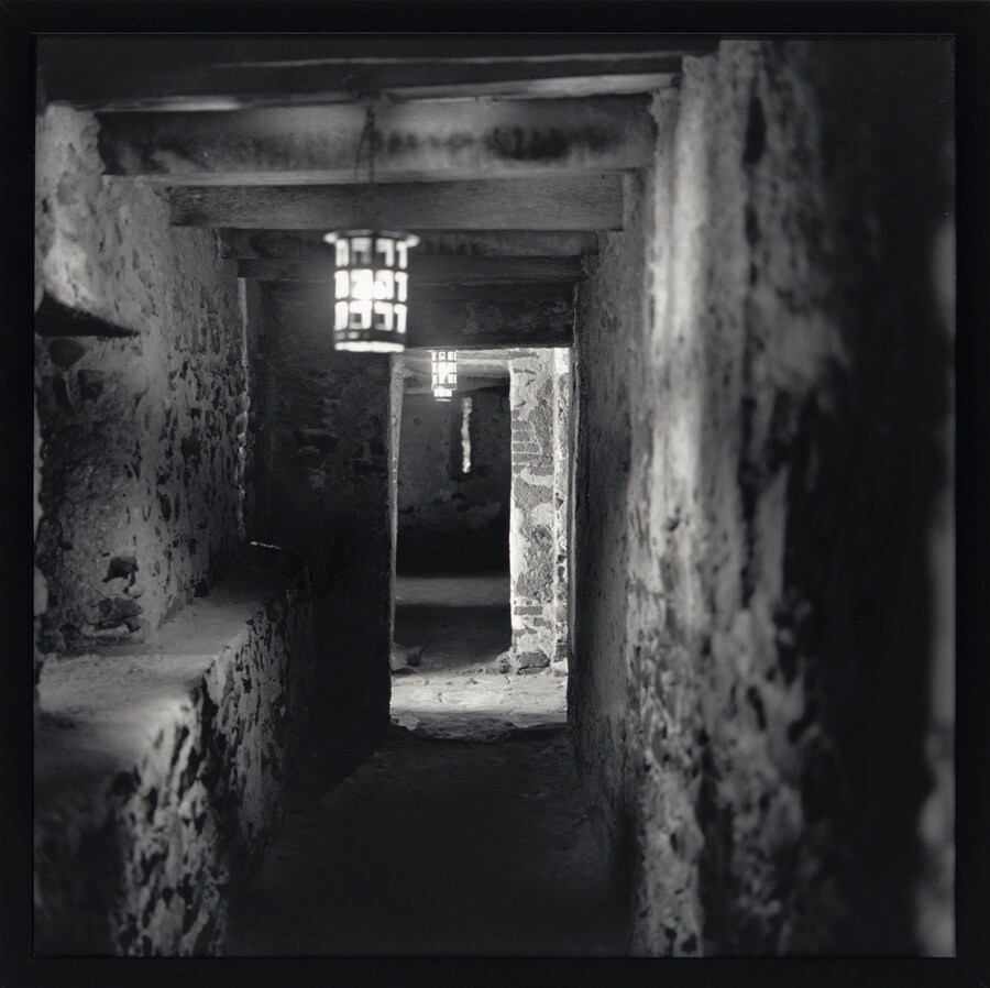 Carrie Mae Weems&#39;s Colour: Real and Imagined 9