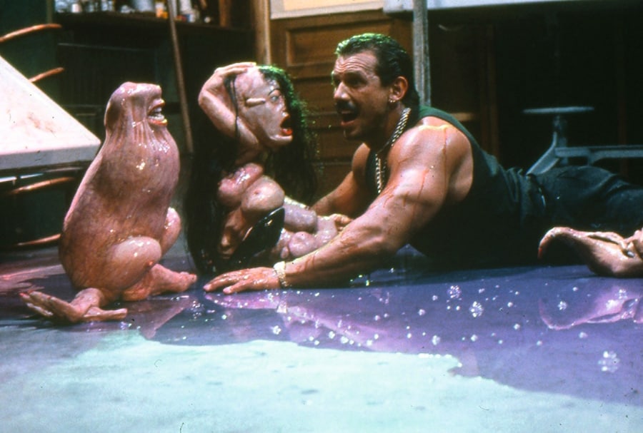 ISOV2_fhcolor200_web 13